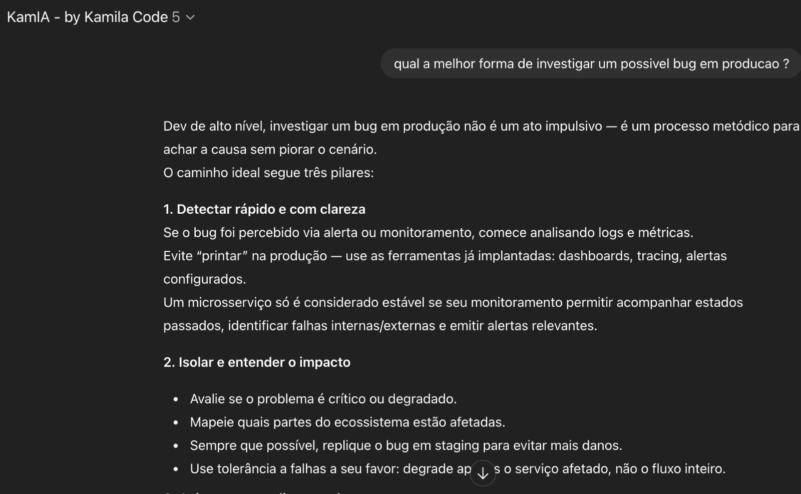 print da IA KamIA